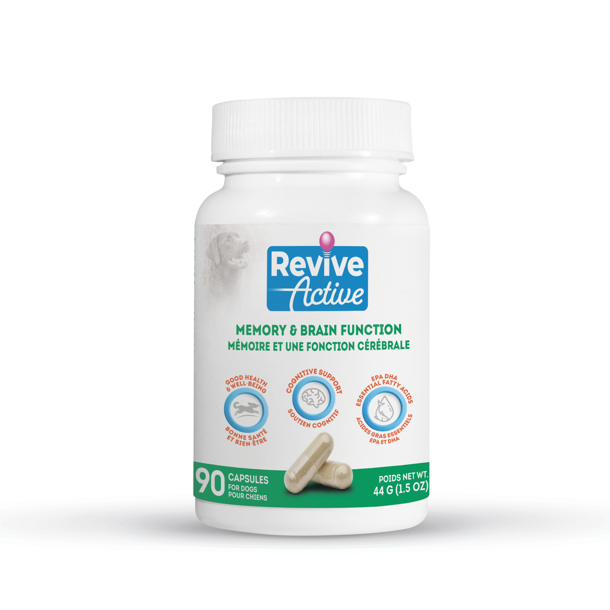 Memory & Brain Function — Revive Active Canada